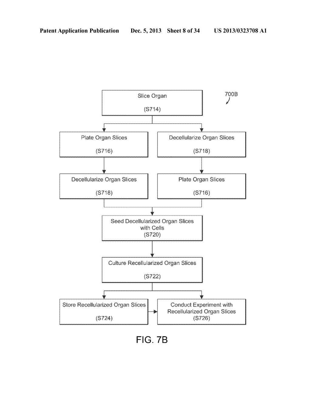 ISOLATED ADULT CELLS, ARTIFICIAL ORGANS, REHABILITATED ORGANS, RESEARCH     TOOLS, ORGAN ENCASEMENTS, ORGAN PERFUSION SYSTEMS, AND METHODS FOR     PREPARING AND UTILIZING THE SAME - diagram, schematic, and image 09