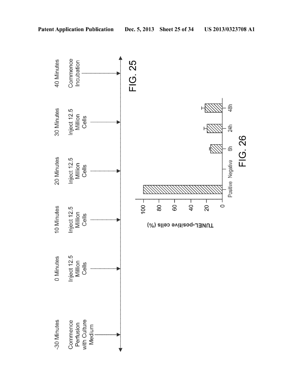 ISOLATED ADULT CELLS, ARTIFICIAL ORGANS, REHABILITATED ORGANS, RESEARCH     TOOLS, ORGAN ENCASEMENTS, ORGAN PERFUSION SYSTEMS, AND METHODS FOR     PREPARING AND UTILIZING THE SAME - diagram, schematic, and image 26