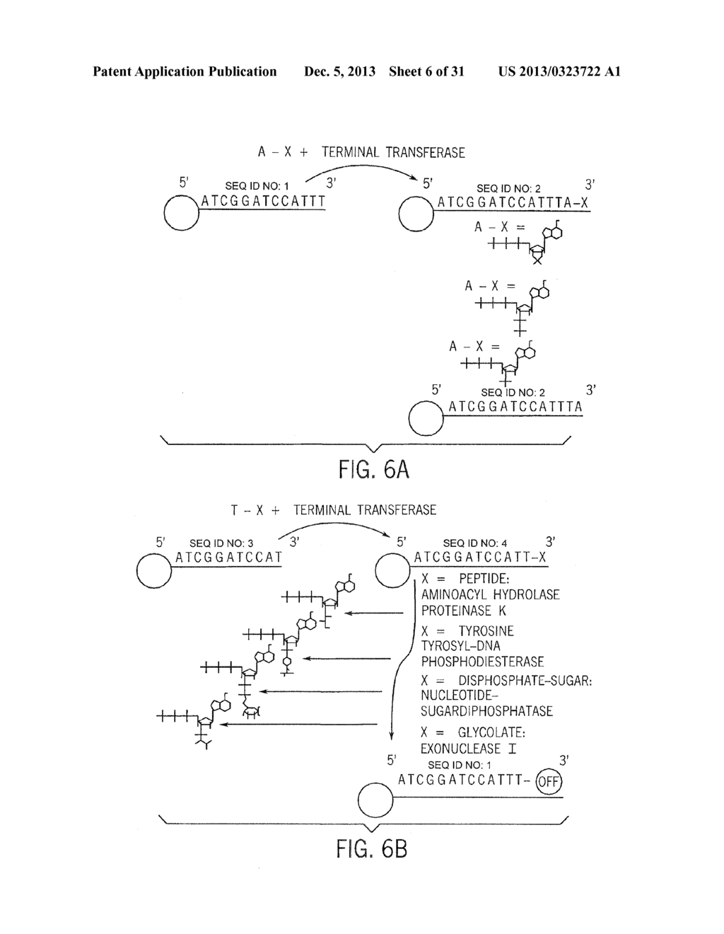 Methods for High Fidelity Production of Long Nucleic Acid Molecules - diagram, schematic, and image 07