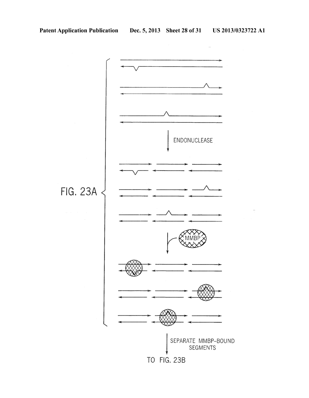 Methods for High Fidelity Production of Long Nucleic Acid Molecules - diagram, schematic, and image 29