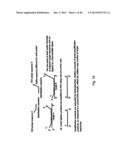 MEANS AND METHODS FOR INVESTIGATING NUCLEIC ACID SEQUENCES diagram and image