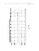 MEANS AND METHODS FOR INVESTIGATING NUCLEIC ACID SEQUENCES diagram and image