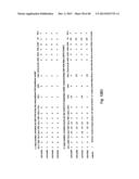 MEANS AND METHODS FOR INVESTIGATING NUCLEIC ACID SEQUENCES diagram and image