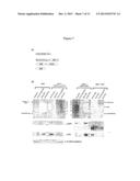 TARGETING AND TRACING OF ANTIGENS IN LIVING CELLS diagram and image