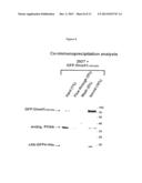 TARGETING AND TRACING OF ANTIGENS IN LIVING CELLS diagram and image