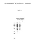 TARGETING AND TRACING OF ANTIGENS IN LIVING CELLS diagram and image