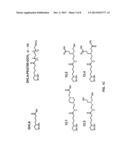 Compact Multifunctional Ligand to Enhance Colloidal Stability of     Nanoparticles diagram and image