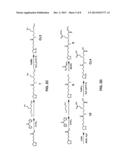 Compact Multifunctional Ligand to Enhance Colloidal Stability of     Nanoparticles diagram and image