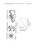 Compact Multifunctional Ligand to Enhance Colloidal Stability of     Nanoparticles diagram and image