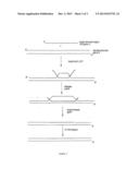 METHODS FOR NUCLEIC ACID MANIPULATION diagram and image