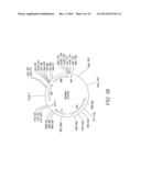 RECOMBINATIONAL CLONING USING ENGINEERED RECOMBINATION SITES diagram and image