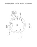 RECOMBINATIONAL CLONING USING ENGINEERED RECOMBINATION SITES diagram and image