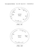 RECOMBINATIONAL CLONING USING ENGINEERED RECOMBINATION SITES diagram and image