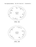 RECOMBINATIONAL CLONING USING ENGINEERED RECOMBINATION SITES diagram and image