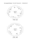 RECOMBINATIONAL CLONING USING ENGINEERED RECOMBINATION SITES diagram and image