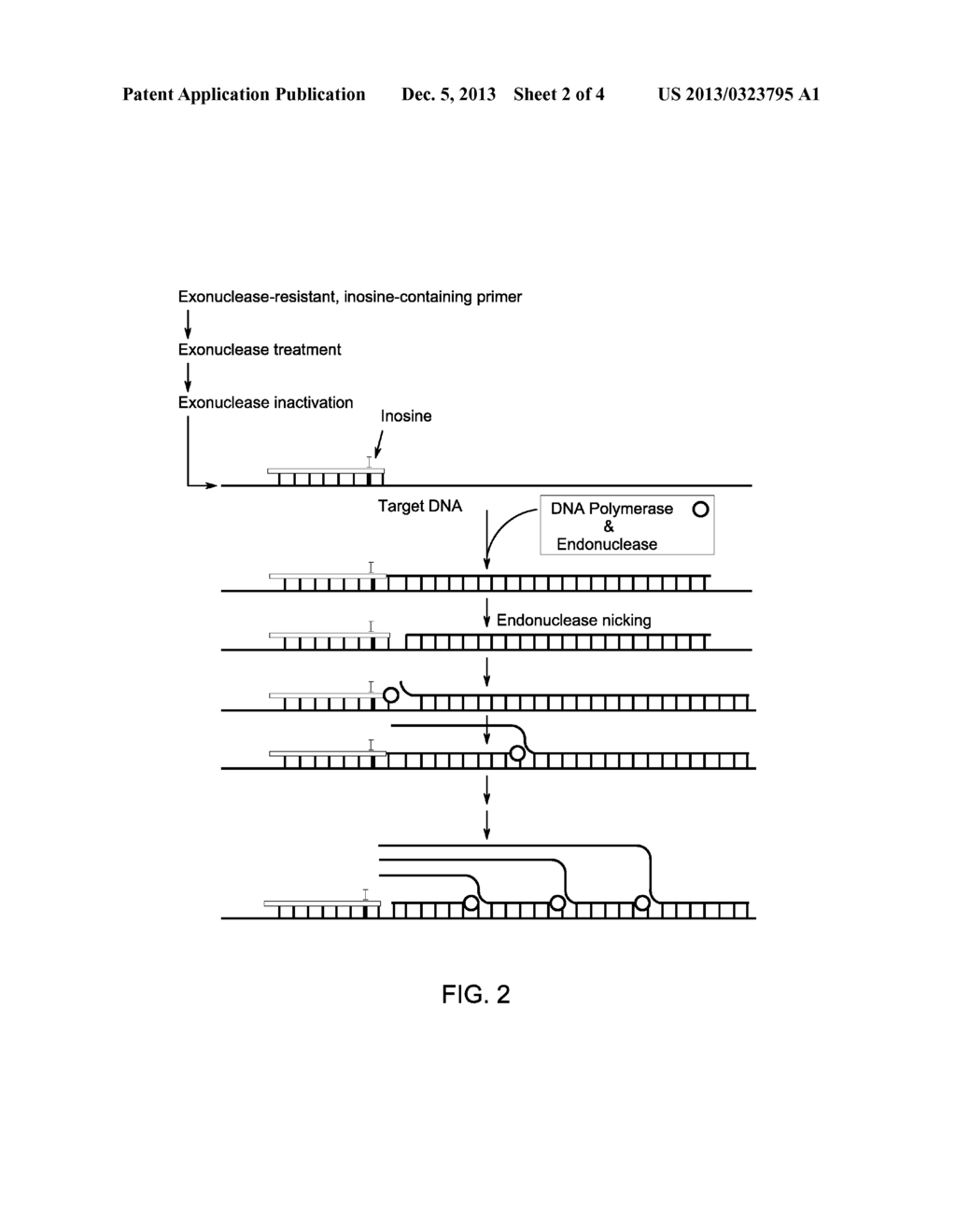 ENDONUCLASE-ASSISTED ISOTHERMAL AMPLIFICATION USING CONTAMINATION-FREE     REAGENTS - diagram, schematic, and image 03