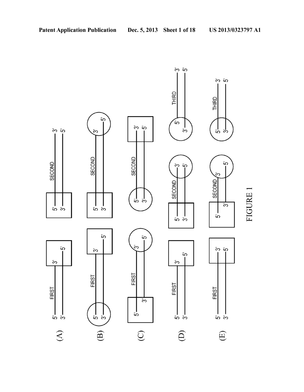 METHODS AND REAGENTS FOR MOLECULAR CLONING - diagram, schematic, and image 02