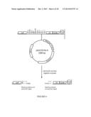 METHODS AND REAGENTS FOR MOLECULAR CLONING diagram and image