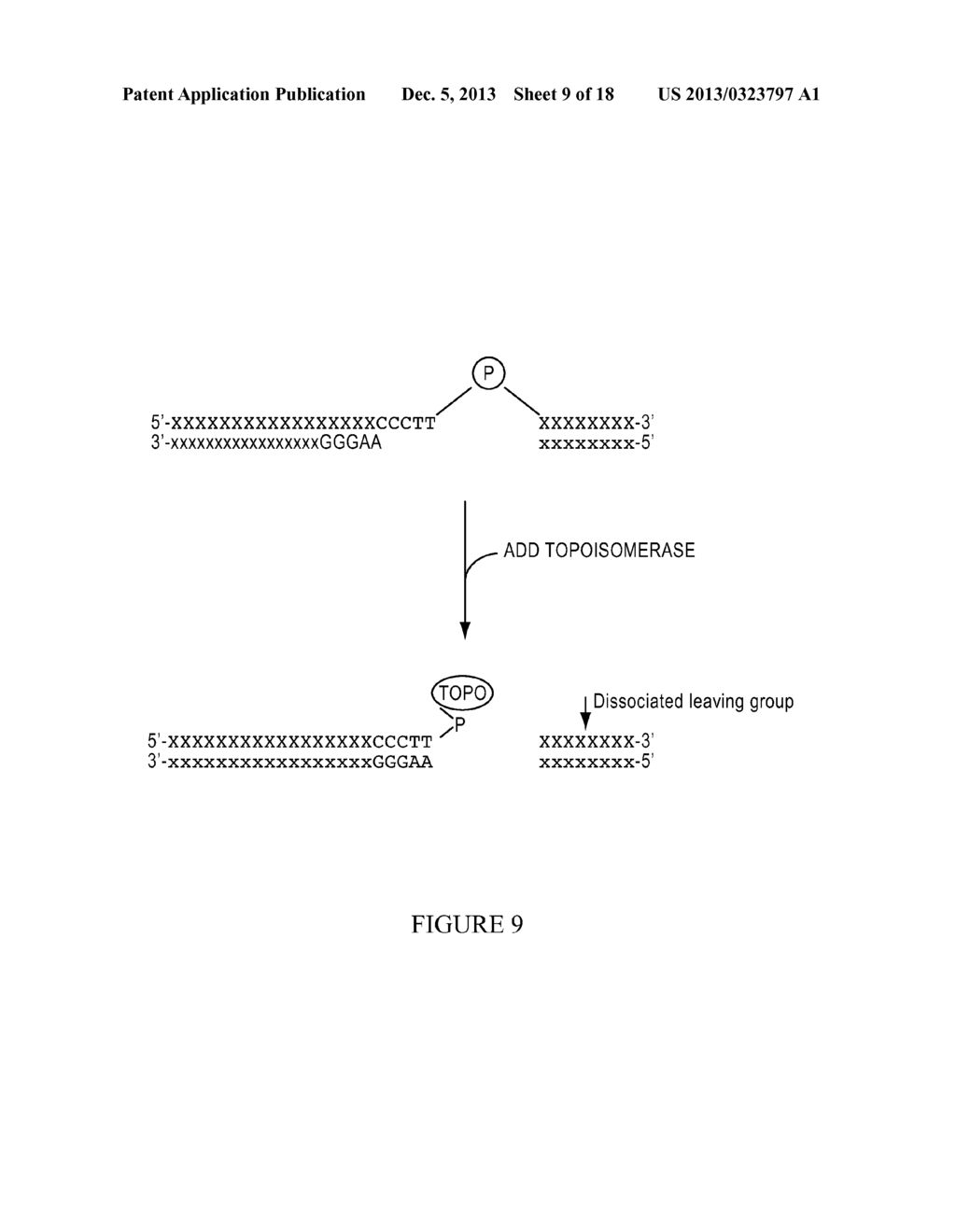 METHODS AND REAGENTS FOR MOLECULAR CLONING - diagram, schematic, and image 10