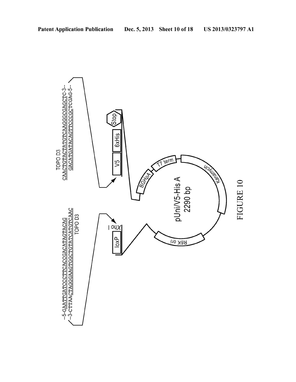 METHODS AND REAGENTS FOR MOLECULAR CLONING - diagram, schematic, and image 11