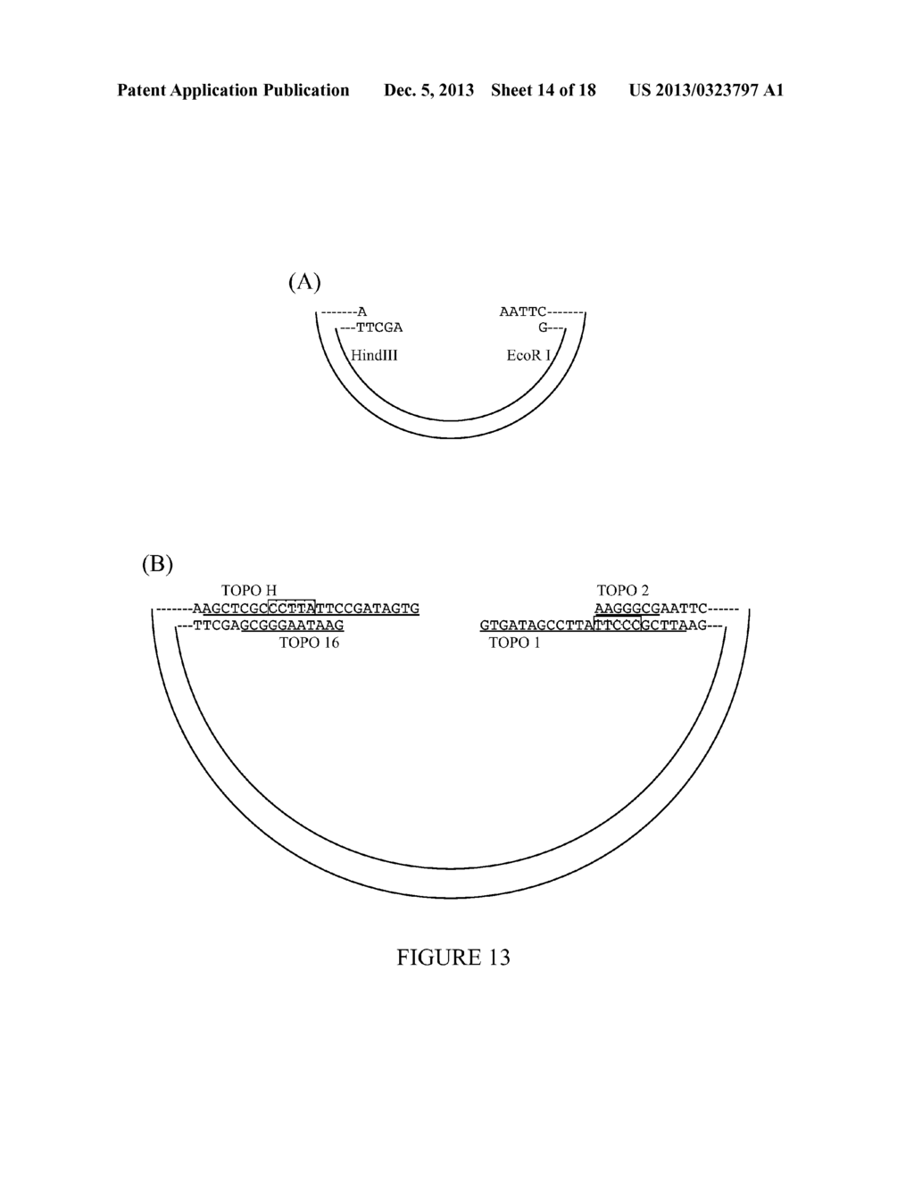 METHODS AND REAGENTS FOR MOLECULAR CLONING - diagram, schematic, and image 15