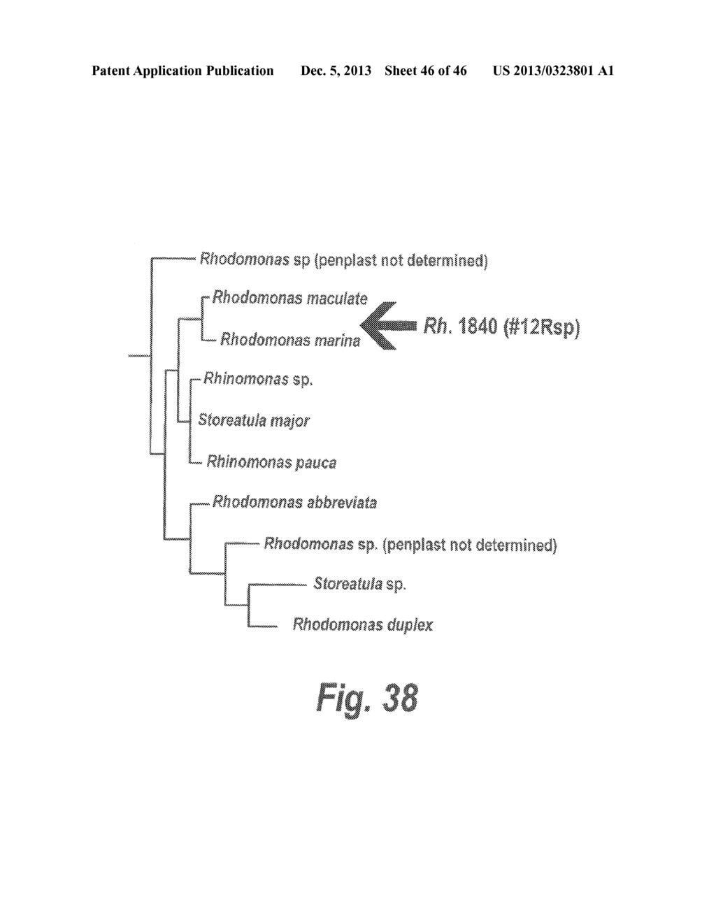 Compositions, Methods, and Kits for Polyunsaturated Fatty Acids from     Microalgae - diagram, schematic, and image 47