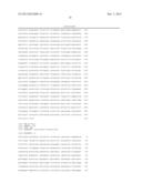 METABOLIC ENGINEERING OF CLOSTRIDIUM TYROBUTYRICUM FOR BUTANOL PRODUCTION diagram and image