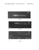 BIOPOLYMER SENSOR AND METHOD OF MANUFACTURING THE SAME diagram and image