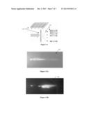 BIOPOLYMER SENSOR AND METHOD OF MANUFACTURING THE SAME diagram and image