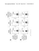 METHODS FOR INDUCING SELECTIVE APOPTOSIS diagram and image