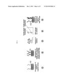 METHOD FOR DETECTION OF RADIATION-INDUCED DAMAGE TO BIOMATERIAL USING     MAGNETIC SENSOR AND MAGNETIC SENSOR BIOCHIP FOR BIODOSIMETRY USING THE     SAME diagram and image