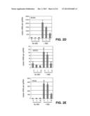 CONTROL OF PLANT STRESS TOLERANCE, WATER USE EFFICIENCY AND GENE     EXPRESSION USING NOVEL ABA RECEPTOR PROTEINS AND SYNTHETIC AGONISTS diagram and image