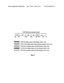 CHIMERIC PROMOTERS FOR USE IN PLANTS diagram and image