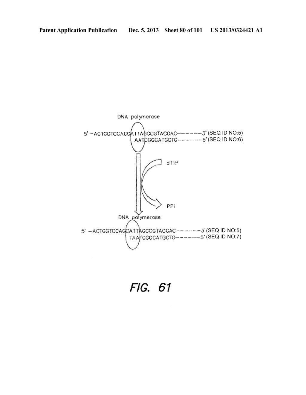 METHODS AND APPARATUS FOR MEASURING ANALYTES USING LARGE SCALE FET ARRAYS - diagram, schematic, and image 81