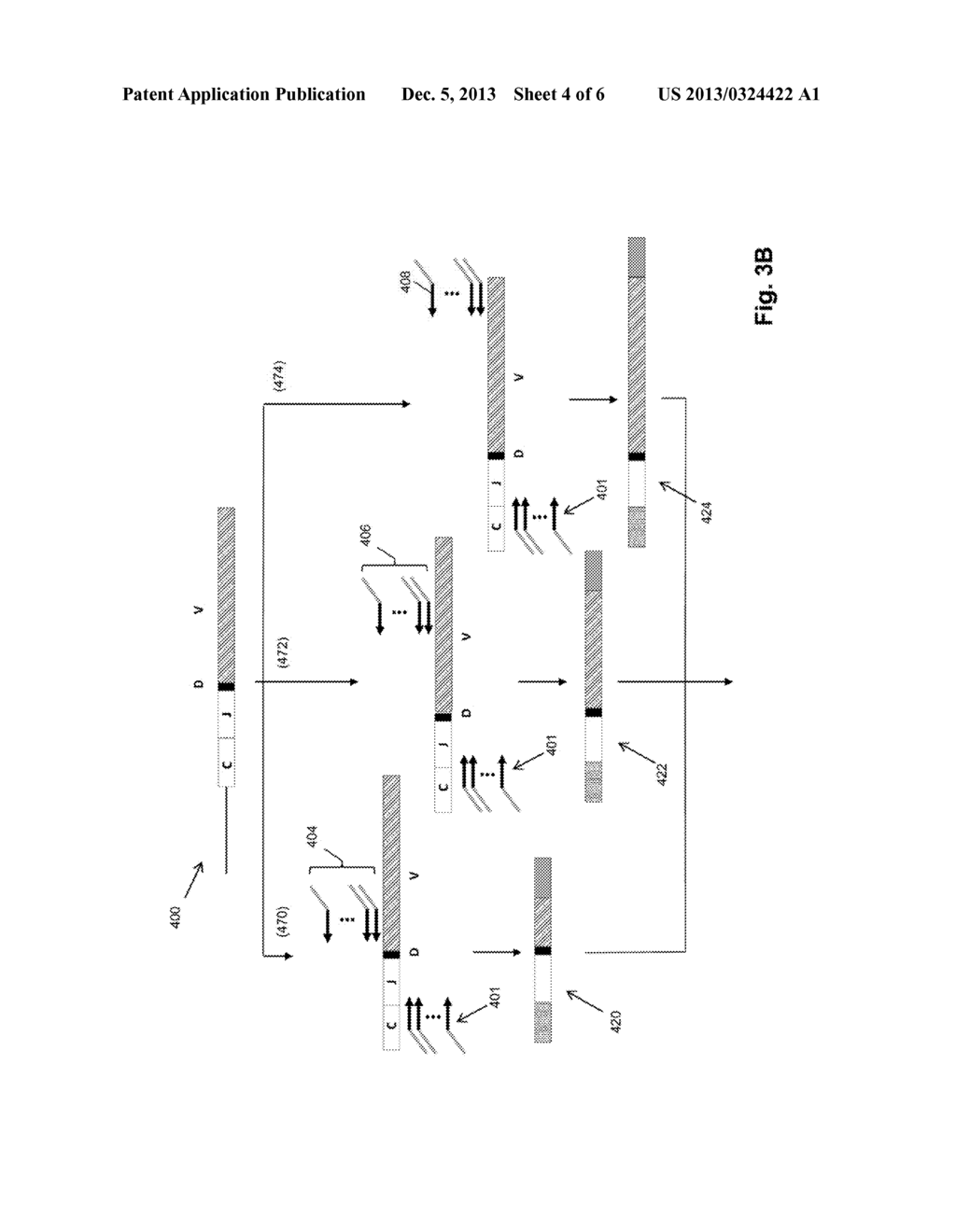 DETECTING DISEASE-CORRELATED CLONOTYPES FROM FIXED SAMPLES - diagram, schematic, and image 05