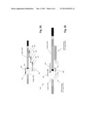 DETECTING DISEASE-CORRELATED CLONOTYPES FROM FIXED SAMPLES diagram and image