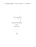 NEUROPEPTIDE ANALOGS, COMPOSITIONS, AND METHODS FOR TREATING PAIN diagram and image