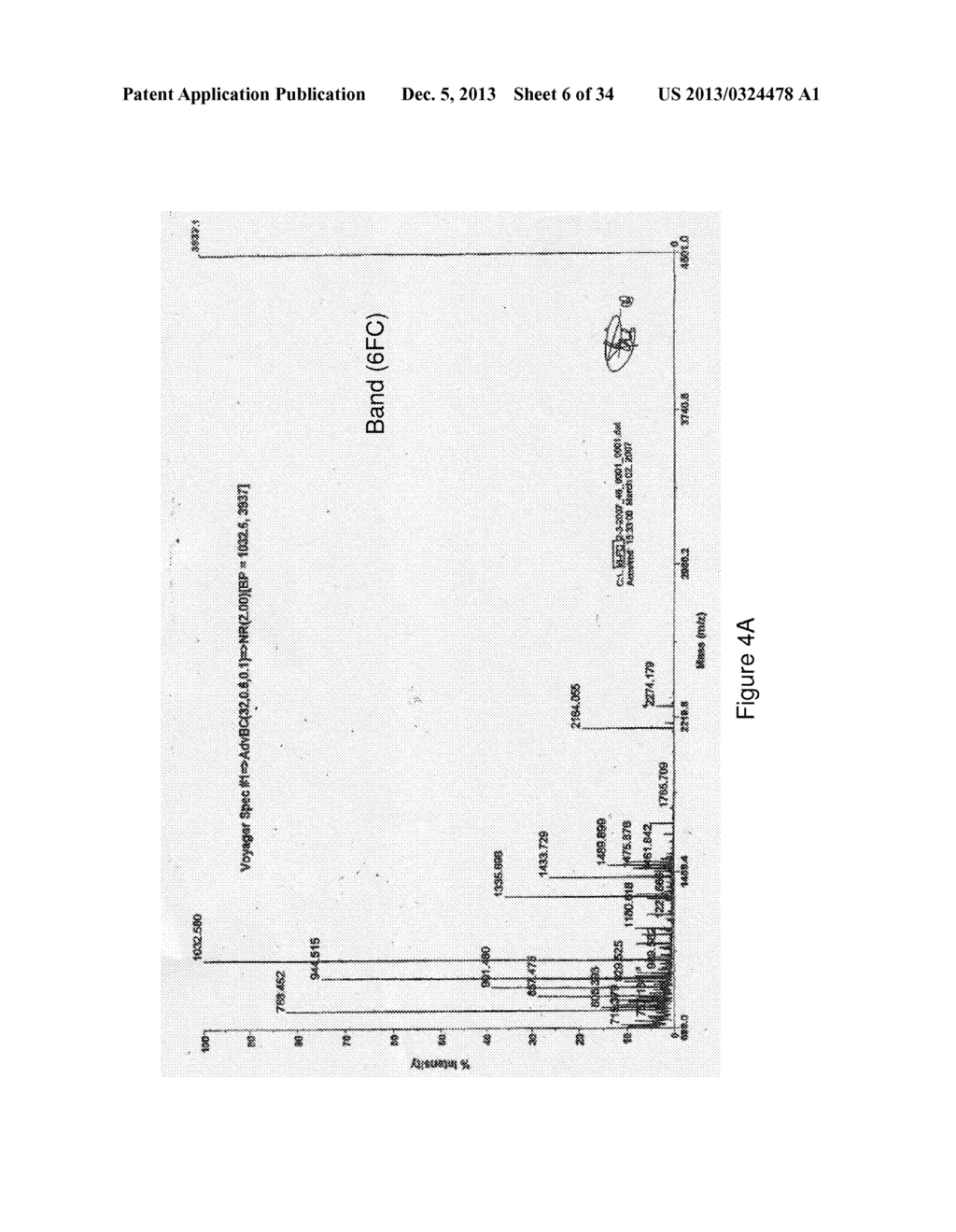 Pharmacodiagnosis Test Targeting Oncology and Neurodegeneration - diagram, schematic, and image 07