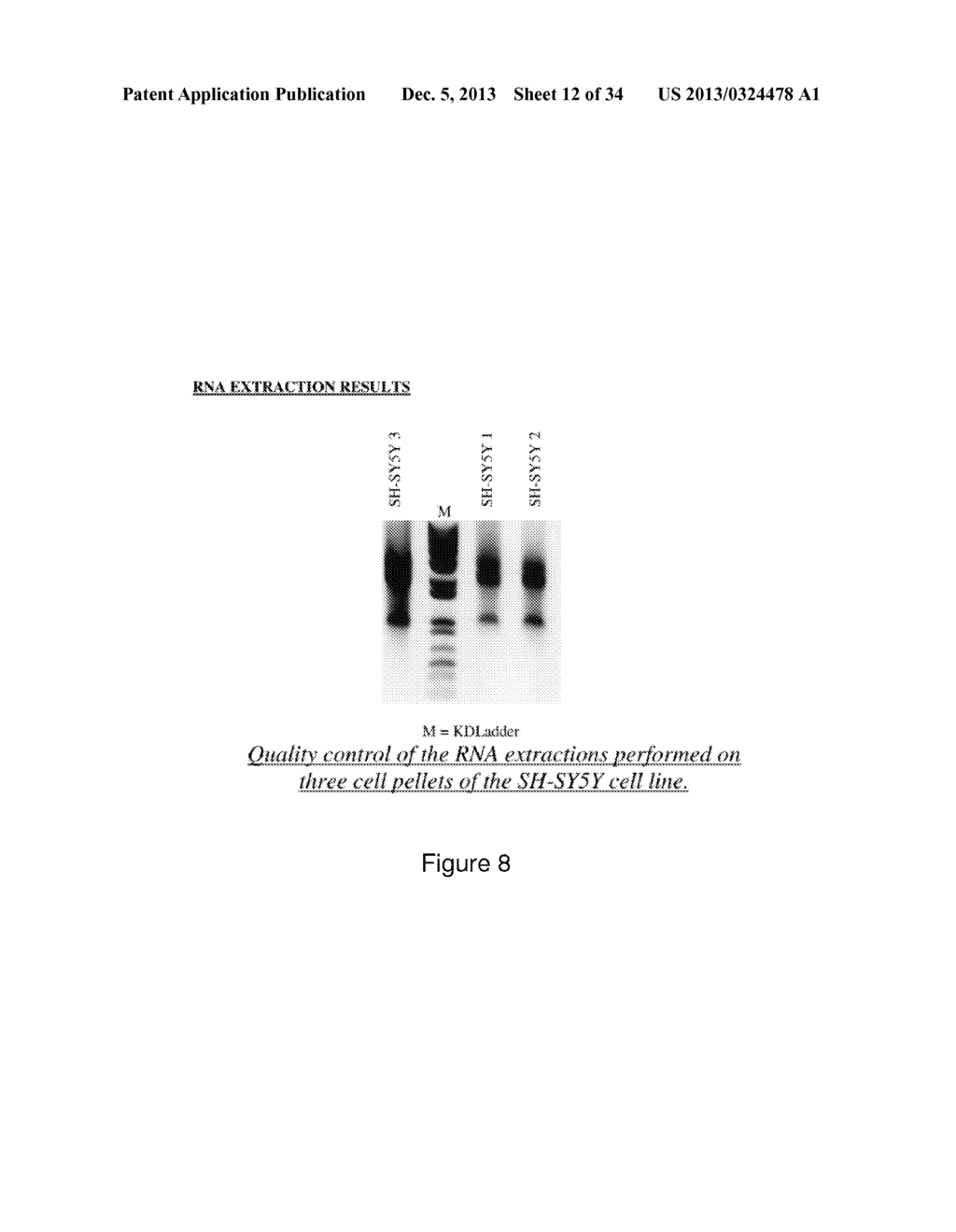 Pharmacodiagnosis Test Targeting Oncology and Neurodegeneration - diagram, schematic, and image 13