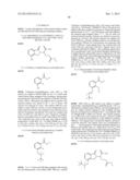 ARYLMETHOXY ISOINDOLINE DERIVATIVES AND COMPOSITIONS COMPRISING AND     METHODS OF USING THE SAME diagram and image