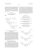 [1,2,4] TRIAZOLO [4,3-B] PYRIDAZINE COMPOUNDS AS INHIBITORS OF THE C-MET     TYROSINE KINASE diagram and image