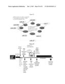 REVERSAL OF HIGH BREAST CANCER RISK IN MAMMALS EXPOSED TO ESTROGENIC     CHEMICALS IN UTERO BY ADULT EXPOSURE TO HDAC AND DNMT INHIBITORS diagram and image