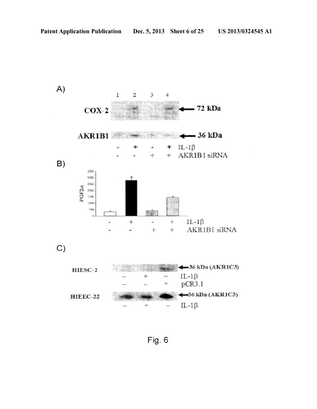 METHODS FOR THE REGULATION OF THE PROSTAGLANDIN F SYNTHASE (PGFS) ACTIVITY     OF AKR1B1 AND USES THEREOF - diagram, schematic, and image 07