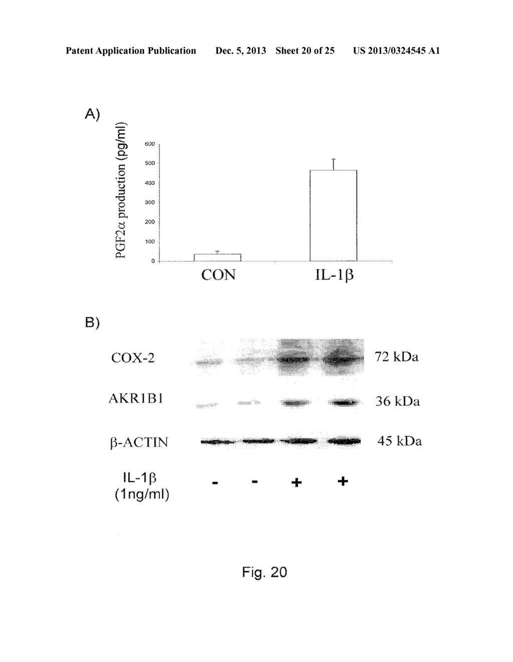 METHODS FOR THE REGULATION OF THE PROSTAGLANDIN F SYNTHASE (PGFS) ACTIVITY     OF AKR1B1 AND USES THEREOF - diagram, schematic, and image 21