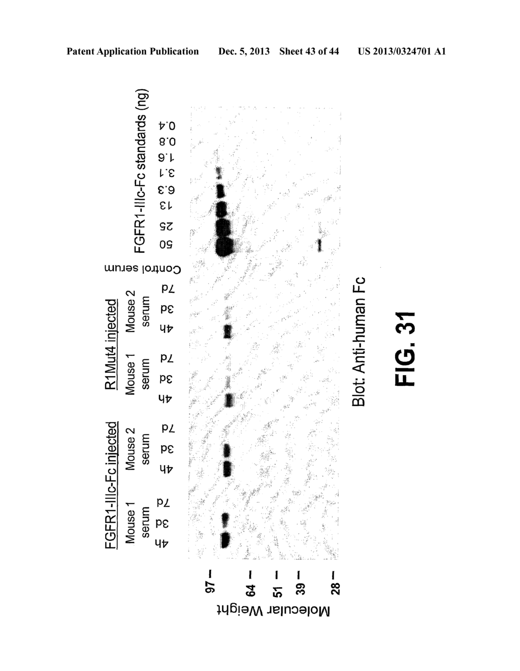 COMPOSITIONS AND METHODS OF TREATING DISEASE WITH FGFR FUSION PROTEINS - diagram, schematic, and image 44