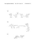 ANTI-FOLATE ANTIMALARIALS WITH DUAL-BINDING MODES AND THEIR PREPARATION diagram and image