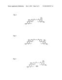 ANTI-FOLATE ANTIMALARIALS WITH DUAL-BINDING MODES AND THEIR PREPARATION diagram and image