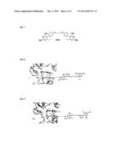 ANTI-FOLATE ANTIMALARIALS WITH DUAL-BINDING MODES AND THEIR PREPARATION diagram and image