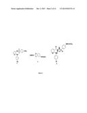 2-ANILINO NICOTINYL LINKED 2-AMINO BENZOTHIAZOLE CONJUGATES AND PROCESS     FOR THE PREPARATION THEREOF diagram and image