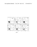 2-ANILINO NICOTINYL LINKED 2-AMINO BENZOTHIAZOLE CONJUGATES AND PROCESS     FOR THE PREPARATION THEREOF diagram and image